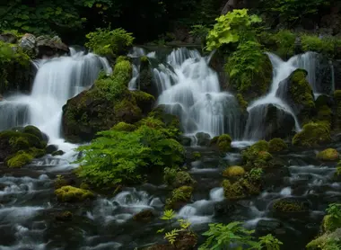Les sources du parc Fukidashi, au village de Kyôgoku