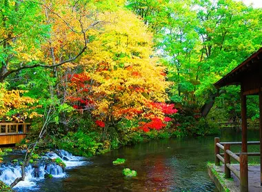 Le parc Fukidashi Kôen, tout en couleurs, au village de Kyôgoku Le parc Fukidashi Kôen, tout en couleurs, au village de Kyôgoku