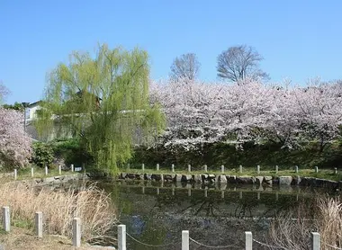 Le parc kujiraike sur l'île de Yuge Le parc kujiraike sur l'île de Yuge