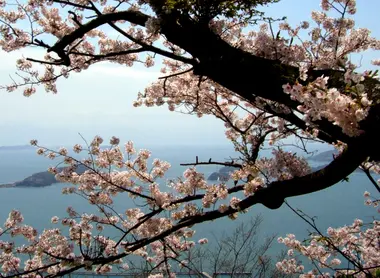 Vue sur la mer de Seto et les cerisiers en fleurs depuis l'île d'Iwagi, village de Kamijima Vue sur la mer de Seto et les cerisiers en fleurs depuis l'île d'Iwagi, village de Kamijima