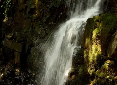 Cascade de la forêt d'Aya