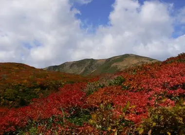 Les flancs rouges du Mont Kurikoma en automne