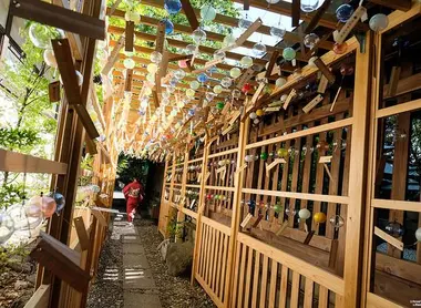 Le couloir des fûrin, au festival d'été de Kawagoe (préfecture de Saitama) Le couloir des fûrin, au festival d'été de Kawagoe (préfecture de Saitama)