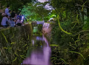 Des visiteurs photographient les lucioles du chemin des philosophes, à Kyoto