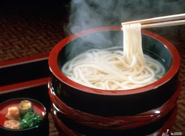 Udon Noodles