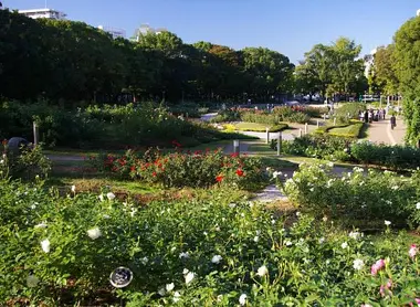 Le jardin de roses du parc Utsubo, à Osaka