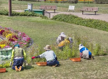 Hattori Ryokuchi koen