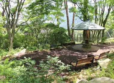 Jardin du musée durant l'été