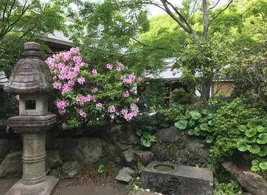 Jardin de temple jardin zen fukuoka