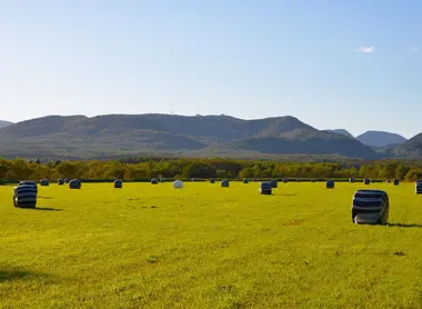 La vie du village rythmée par l'agriculture et la pêche