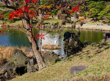 Les bords de l'étang du jardin Kyu Shiba Rikyu