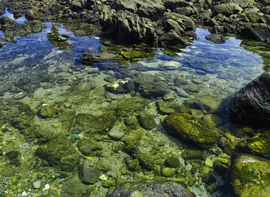 Les eaux transparentes des criques de l'île Shikine-jima Les eaux transparentes des criques de l'île Shikine-jima