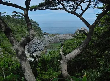 L'île de Shikine-jima est toute en reliefs et en végétation L'île de Shikine-jima est toute en reliefs et en végétation