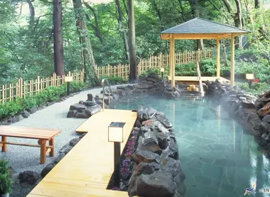 Le bain extérieur du onsen Hakone yuryo