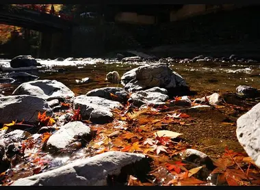 Le ruissellement de la rivière Kiyotaki accompagnera votre balade à Takao