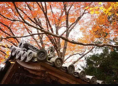 Le temple Jingo-ji à Takao