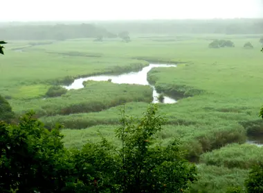 Le marais de la plaine du Village de Tsurui