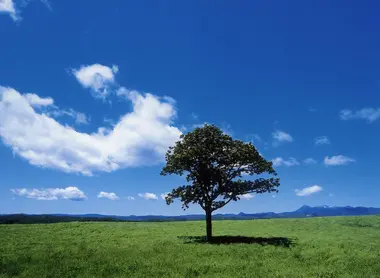 Les plaines de Tsurui, typiques du paysage de l'île de Hokkaido