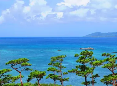 Tout l'archipel de Matsushima est recouvert de pins Tout l'archipel de Matsushima est recouvert de pins
