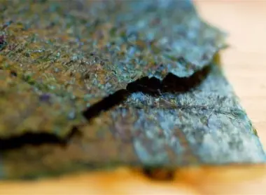 Algue nori séchée (détail)