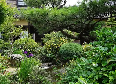 Le jardin de la maison des Takada à Kanazawa