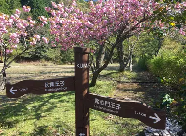 Les chemins de Kumano Kodo sont bien fléchés Les chemins de Kumano Kodo sont bien fléchés