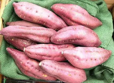 Satsuma imo, la patate douce japonaise