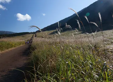 Le champ Sengokuhara est idéal pour une excursion à partir de Hakone