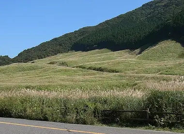 L'été sur les champs de pampa de Sengokuhara, près de Hakone