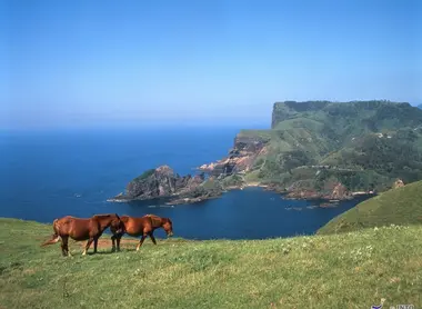 La côte de Kuniga et ses chevaux La côte de Kuniga et ses chevaux