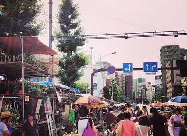 Le festival Iriya Asagao matsuri de nos jours Le festival Iriya Asagao matsuri de nos jours