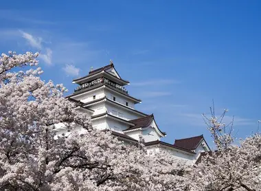 Le château d'Aizu au printemps, entouré de fleurs de cerisier