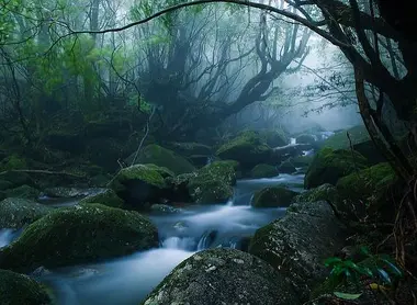 Yakushima