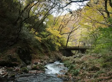 La vallée de Taishaku, dans le parc quasi national de Hiba Dogo Taishaku, préfecture d'Hiroshima