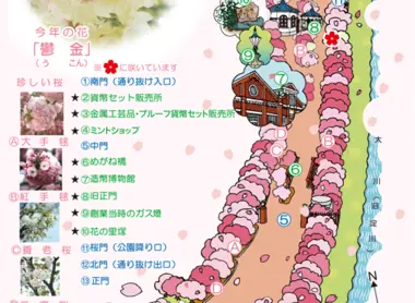 sakura_map2017
