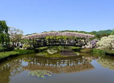 parc ashikaga