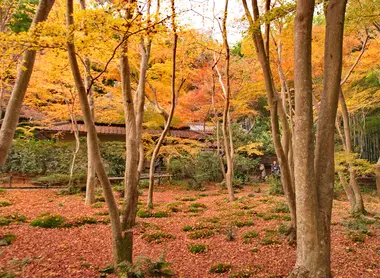 Le temple Gio-ji en automne Le temple Gio-ji en automne