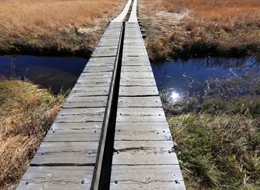 Wooden trail