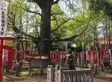 Le ginkgo biloba de 700 ans au centre du temple Kishimokin