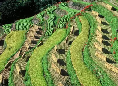 Le village Hoshino Le village Hoshino
