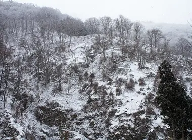 La vallée sous la neige La vallée sous la neige