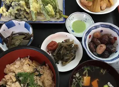 Repas cuisiné avec des légumes des montagnes japonaises Repas cuisiné avec des légumes des montagnes japonaises