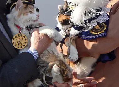 Nitama (à gauche), le chef de gare de la station d'Idakiso et Tama (à droite), le chef de gare de la station de Kishi Wakayama Electric Railway, Wakayama.