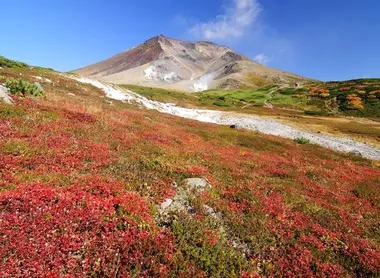 La nature rougeoyante au parc Daisetsuzan