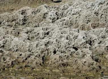 Détails rocheux dans la crique des bouddhas Détails rocheux dans la crique des bouddhas
