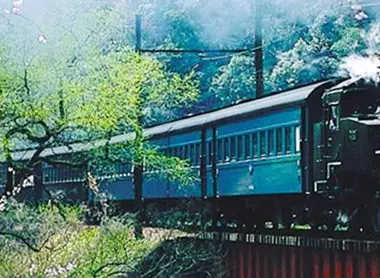La locomotive à vapeur transporte les voyageurs dans la préfecture de Shizuoka
