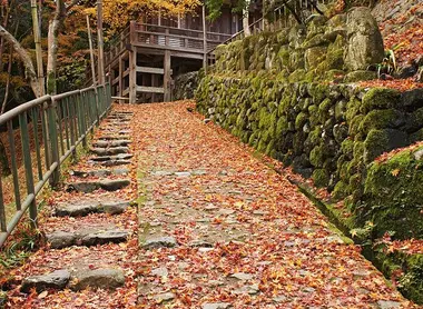 chemin-Otagi_nenbutsuji