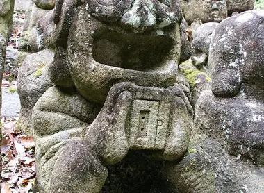 A rakan with glasses.