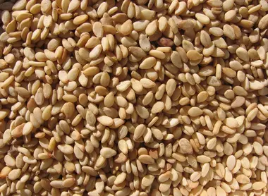 graines de sesame graines de sesame