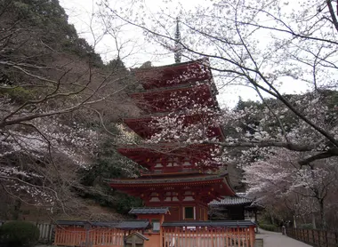 Hasedera's pagoda